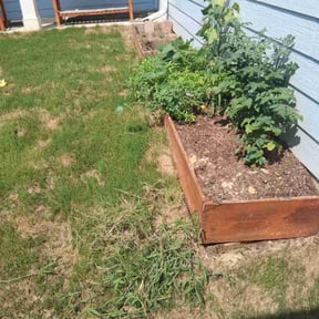 Weeding by Royal Scenery LLC reviewed on August 1, 2022