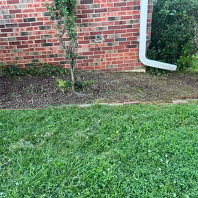 Flower Bed Weeding by EECO SERVICES LLC reviewed on June 17, 2021
