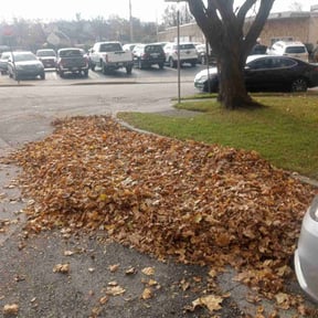 Leaf Removal by Miller's Mowtivated lawn service reviewed on August 1, 2022