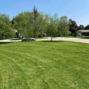 Cleanups by Reil Lawn Company LLC reviewed on May 12, 2022