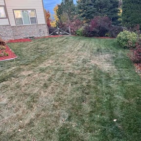 Leaf Removal by Signature Lawn Care LLC. reviewed on April 12, 2022