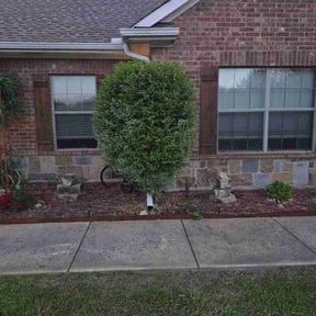 Bush Trimming by J5 Lawn Care reviewed on April 23, 2025