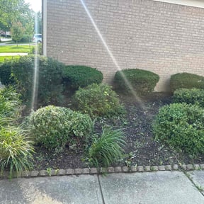 Cleanups by Joshua Graham Landscaping reviewed on December 16, 2021