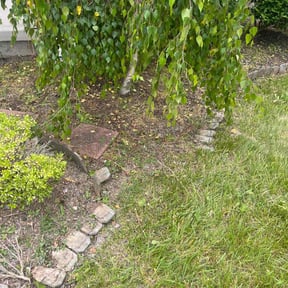 Flower Bed Weeding by MPV Landscaping reviewed on June 7, 2022
