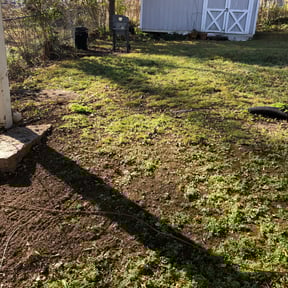Leaf Removal by Peaks Property Maintenance reviewed on June 11, 2022