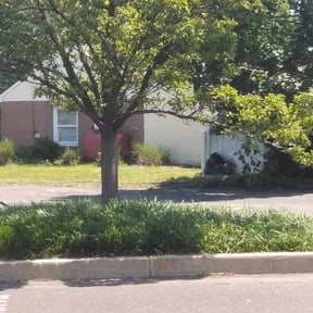 Flower Bed Weeding by Lawn Care and trash removal reviewed on May 22, 2022