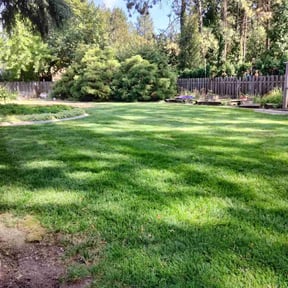 Flower Bed Weeding by KJ's Yardworks reviewed on June 16, 2025