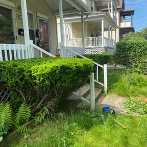 Bush Trimming by Yard Worx Lawn Service reviewed on April 4, 2022