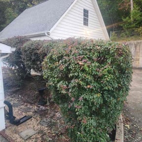 Bush Trimming by K&N Lawncare and Power wash reviewed on April 19, 2025