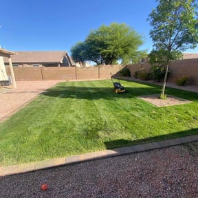 Bush Trimming by Pedrito’s lawn service llc reviewed on July 27, 2022