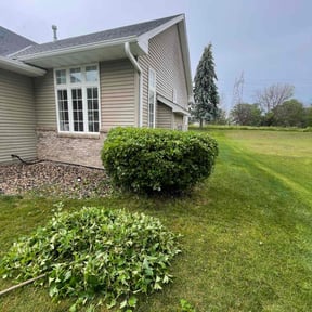 Bush Trimming by Bitcoin Lawn reviewed on May 24, 2022