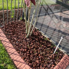 Cleanups by Lewis Lawn solutions reviewed on July 21, 2025