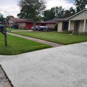 Cleanups by Bright Landscaping Services reviewed on April 18, 2023