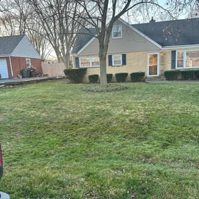 Leaf Removal by Cut N Get Cut reviewed on May 20, 2022