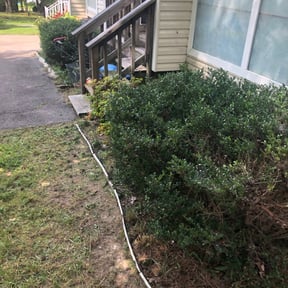 Bush Trimming by Keep It Cut Lawn Services reviewed on March 25, 2025