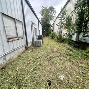Cleanups by Scipio landscaping and maintenance reviewed on December 3, 2023