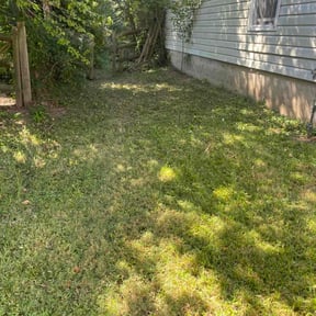 Cleanups by McNeil's lawn care & maintenance reviewed on November 13, 2024