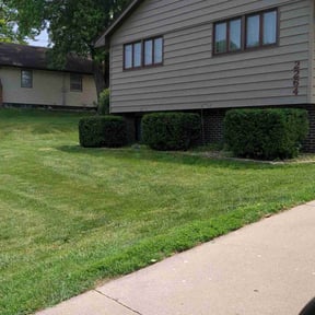 Bush Trimming by Up Cut Lawn Care reviewed on August 7, 2021