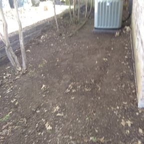 Leaf Removal by A Lawn Service reviewed on December 21, 2024