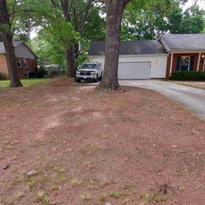 Leaf Removal by Cornerstone landscape & design reviewed on October 7, 2022