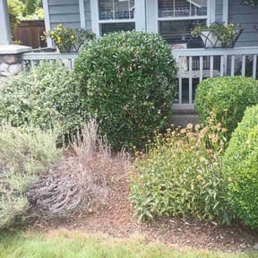 Flower Bed Weeding by PerfectCutLawn reviewed on November 8, 2021