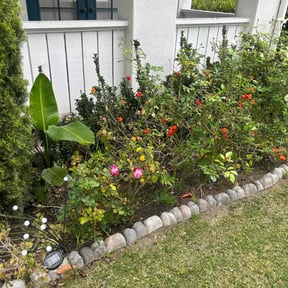 Bush Trimming by Hopper and sons landscaping LLC reviewed on August 25, 2024