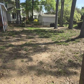 Cleanups by Green T's Lawn & Landscape reviewed on April 19, 2025