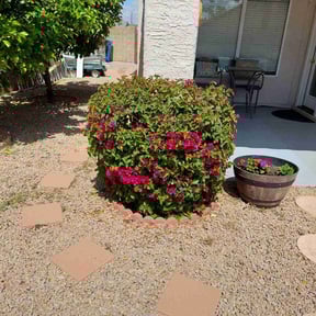 Bush Trimming by E&amp;E Landscape Services reviewed on November 15, 2024