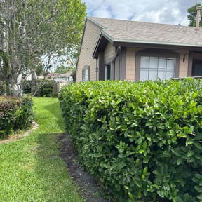 Bush Trimming by Willie Lawn Care and More LLC reviewed on August 5, 2020