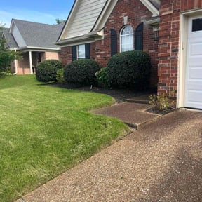 Bush Trimming by Top Turf L.L.C reviewed on August 30, 2020