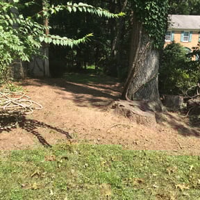 Flower Bed Weeding by Yoshiro's Landscaping reviewed on July 13, 2022