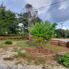 Bush Trimming by Mac's Property Detail reviewed on January 23, 2025