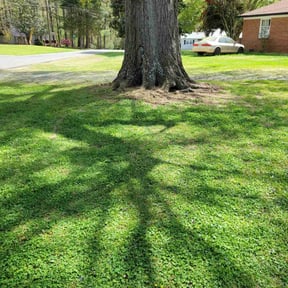 Flower Bed Weeding by Scotton landscaping reviewed on July 24, 2022