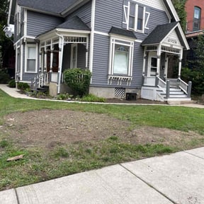 Bush Trimming by Chloe’s Lawn Care LLC reviewed on June 4, 2022