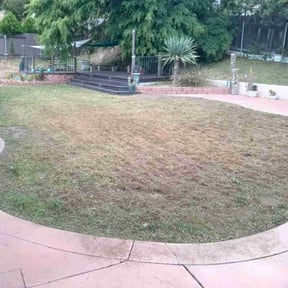 Weed Pulling by Ndebay Landscapping reviewed on July 15, 2022