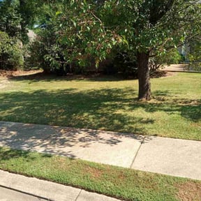 Flower Bed Weeding by Zac of All Trades reviewed on May 29, 2022
