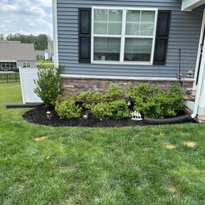 Cleanups by Household Maintenance & Lawn Care Services reviewed on December 14, 2024