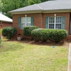 Bush Trimming by Hargett lawn services reviewed on November 26, 2024