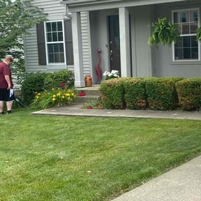 Bush Trimming by Yards_plus reviewed on June 24, 2022