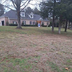 Leaf Removal by Rafter J Bar Enterprises reviewed on July 17, 2020