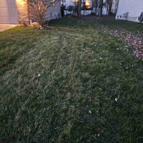 Leaf Removal by Good Guys reviewed on April 7, 2022