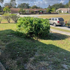 Bush Trimming by J&amp;D Lawn Care Services &amp; More LLC reviewed on August 7, 2025