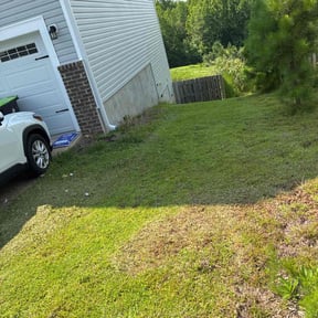 Weeding by Tandwingatelawncare reviewed on June 28, 2022