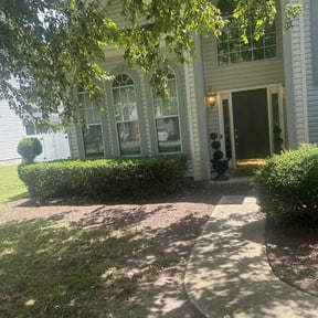 Bush Trimming by Breece Services reviewed on April 27, 2025