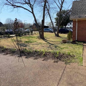 Leaf Removal by Jonny's jack off services reviewed on August 17, 2024