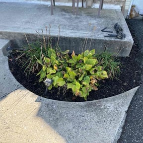 Weed Pulling by Hustle Lawn Care reviewed on June 11, 2022