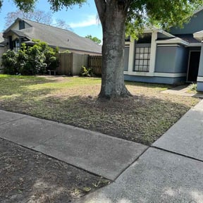 Leaf Removal by A Cut Above Landscaping & Lawn LLC reviewed on June 19, 2022