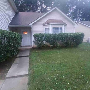 Bush Trimming by iLandscape LLC reviewed on August 12, 2024