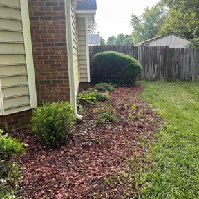 Bush Trimming by Ledezma reviewed on May 31, 2022