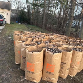 Leaf Removal by LSLTDallas/FortWorthTruGreen reviewed on June 12, 2025